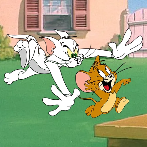 Tom - Body Fur